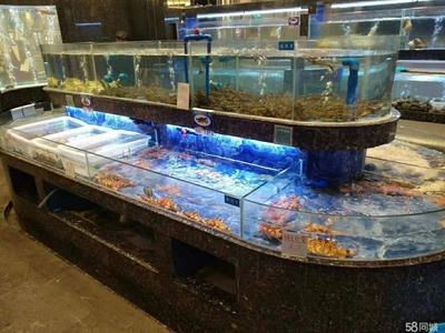超市水產魚缸規范：2023年超市業態水產魚缸采購招標