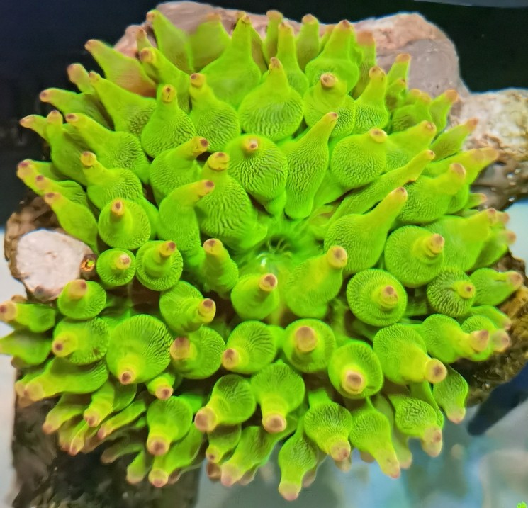 好狀態