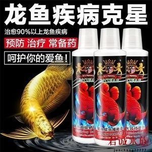 龍魚除內寄用啥藥