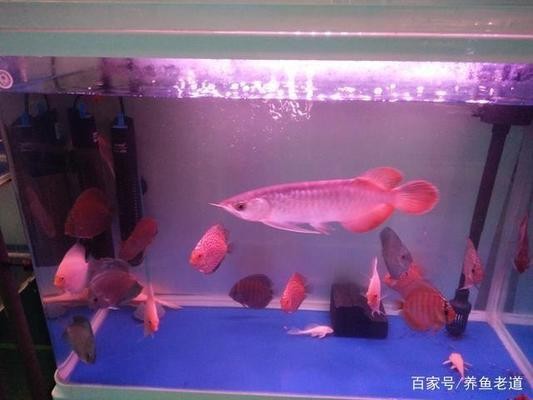 上海溫興生物工程有限公司（上海溫興生物工程有限公司官網）