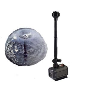 創(chuàng)星 森森：創(chuàng)星和森森哪個(gè)好