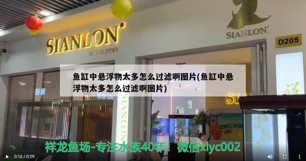 魚缸中懸浮物太多怎么過(guò)濾啊圖片(魚缸中懸浮物太多怎么過(guò)濾啊圖片)