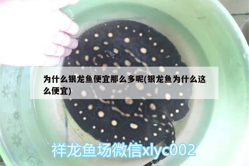 朔州市朔城區(qū)花卉水族館（朔州市朔城區(qū)花卉水族館地址）