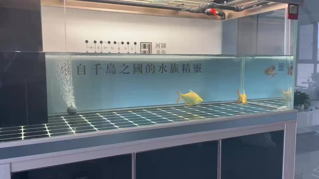 張國(guó)哥河圖
