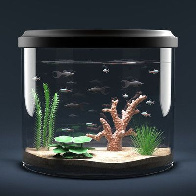 扁平魚缸造景效果圖：制作扁平魚缸造景效果圖的一些基本步驟和要點