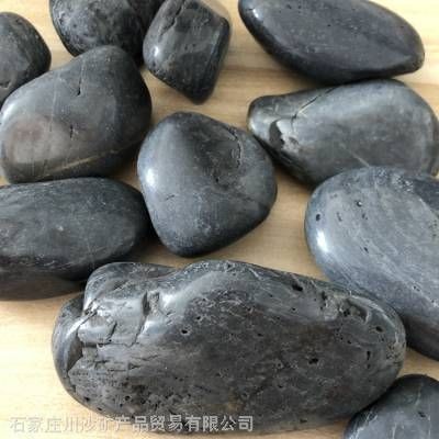 川沙哪里有賣魚缸的實體店啊：川沙地區有哪些賣魚缸的實體店？