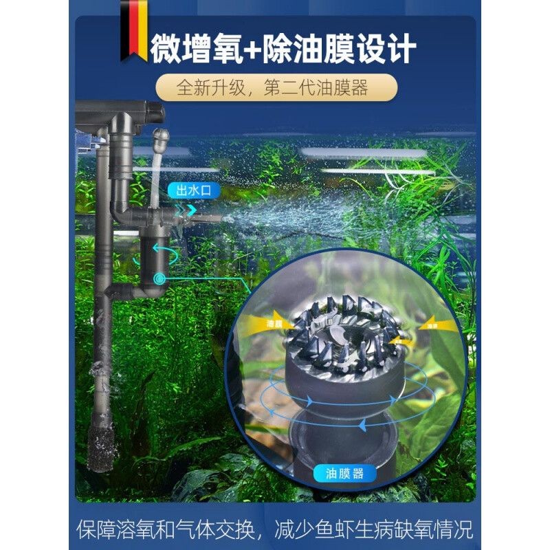 紅龍魚增色食物，如何判斷紅龍魚增色食物是否達到預期效果？