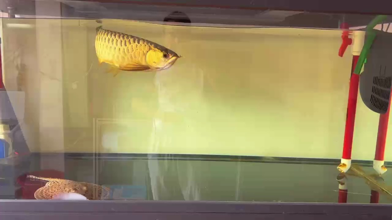 一轉眼就長大了