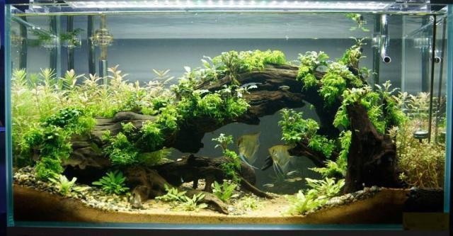 城陽區海之川園林景觀商行（城陽海之軒）