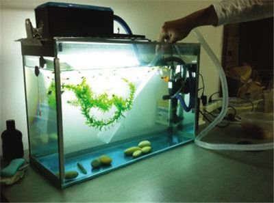 大型魚缸水循環示意圖高清：關于魚缸水循環系統的一般信息