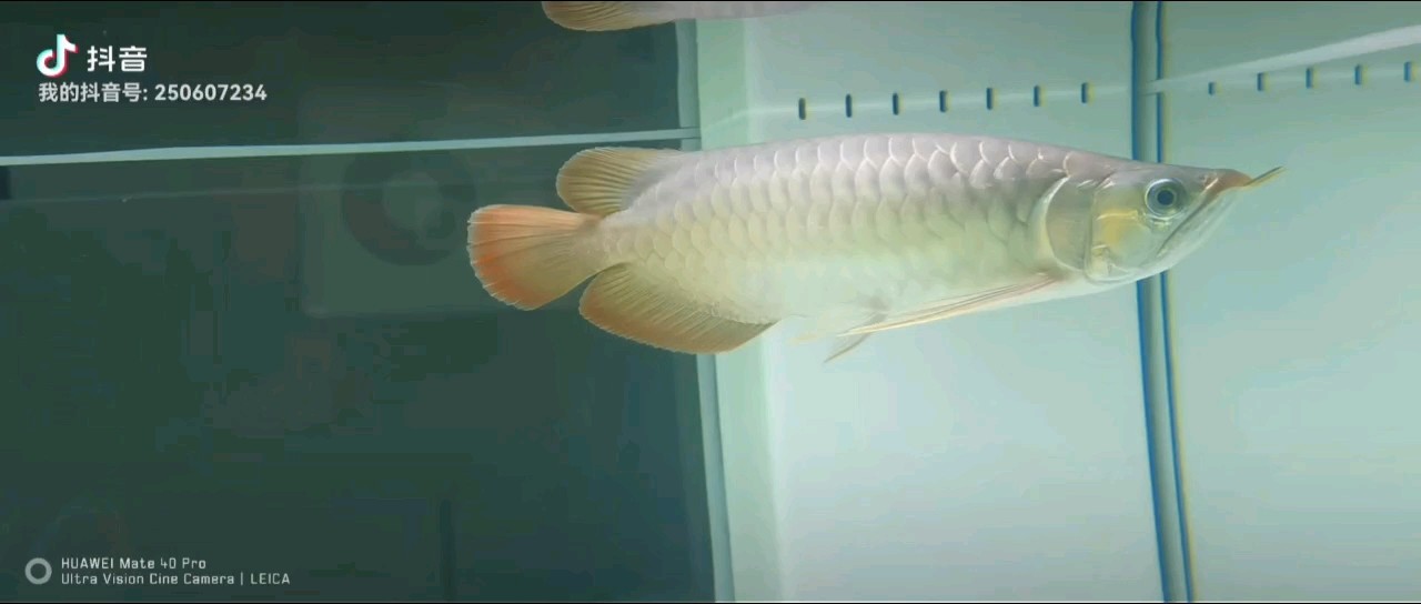 第77天
