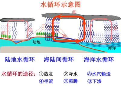 大型魚缸水循環(huán)示意圖高清：關于魚缸水循環(huán)系統(tǒng)的一般信息