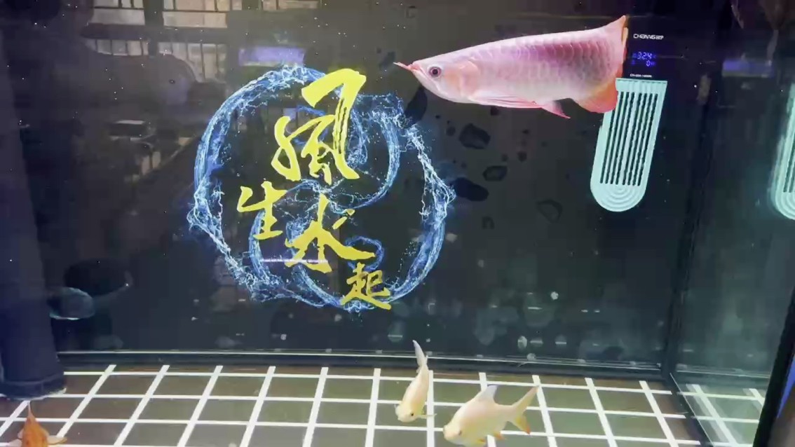 3周