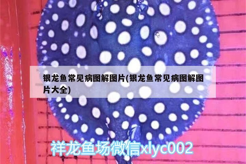 三原城內名人漁具店（三原城內名人漁具店電話）