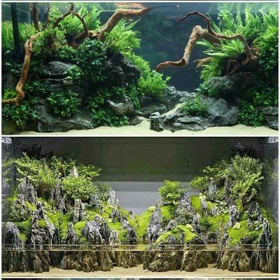 1.2米魚缸造景青龍石：1.2米魚缸造景青龍石在1.2米魚缸造景中發揮著重要作用
