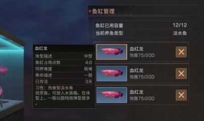 明日之后血紅龍魚多少錢一條：明日之后血紅龍魚交易攻略血紅龍魚文化象征意義探究