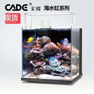 上海浦東浦建花鳥市場佳巍水族館（浦東浦建路花鳥市場）