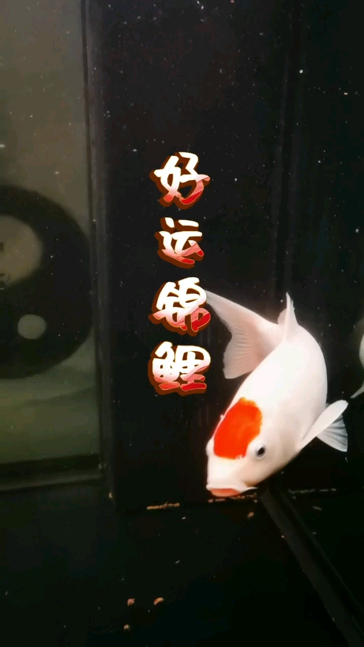 喜歡做的事是沒(méi)有截止日期的