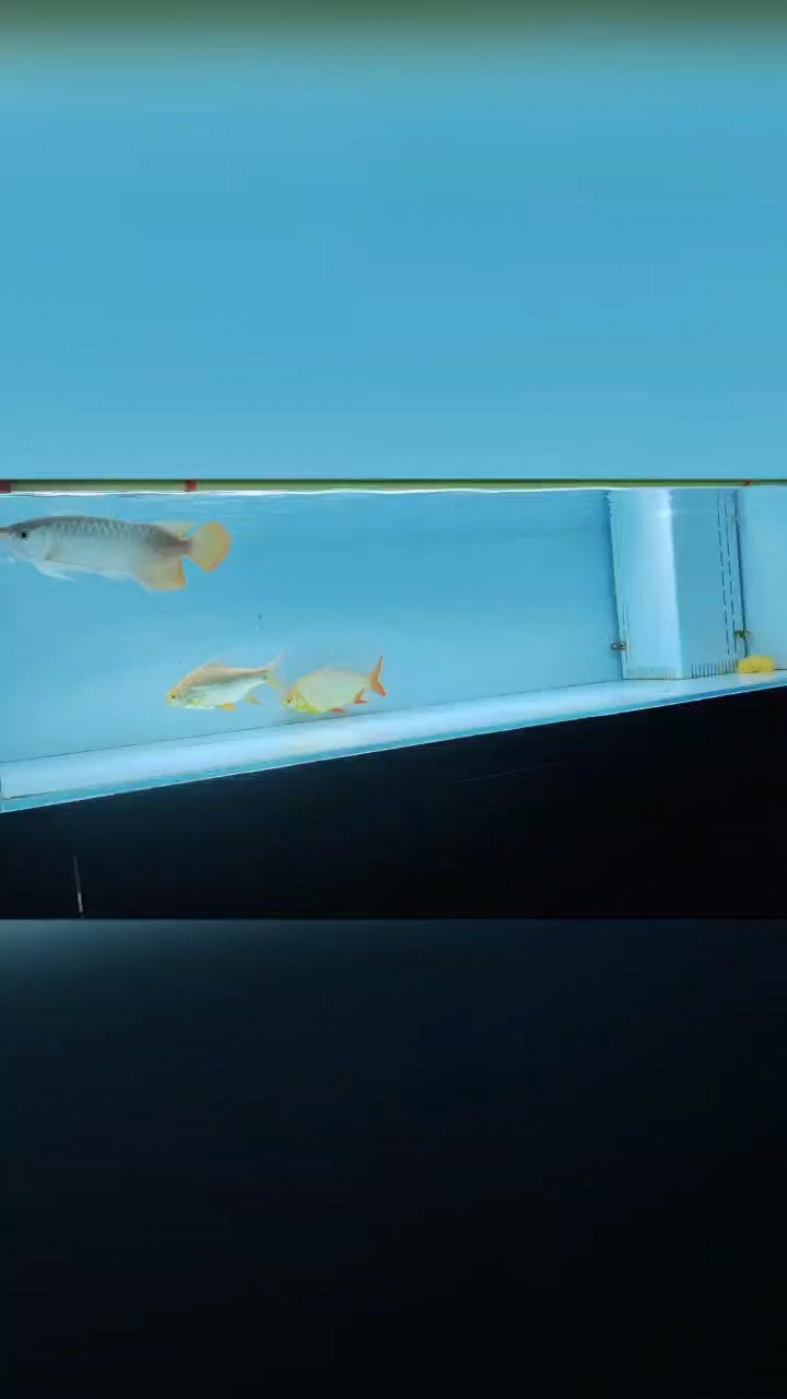 歲月終將流逝