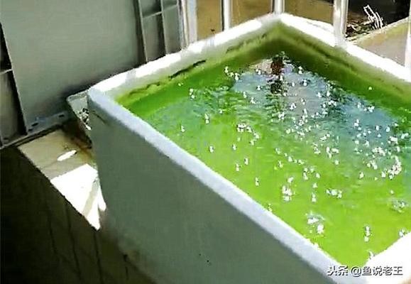 五常市洪明水族花卉器材商店（五常市洪明水族花卉器材商店地址）