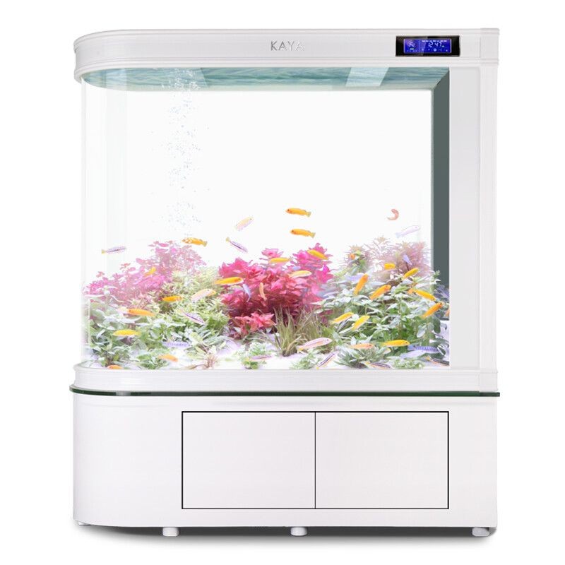 超白金晶魚缸排名：超白金晶魚缸品牌推薦