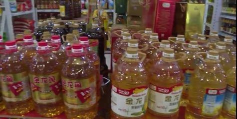 金龍魚市場價多少錢一噸今天