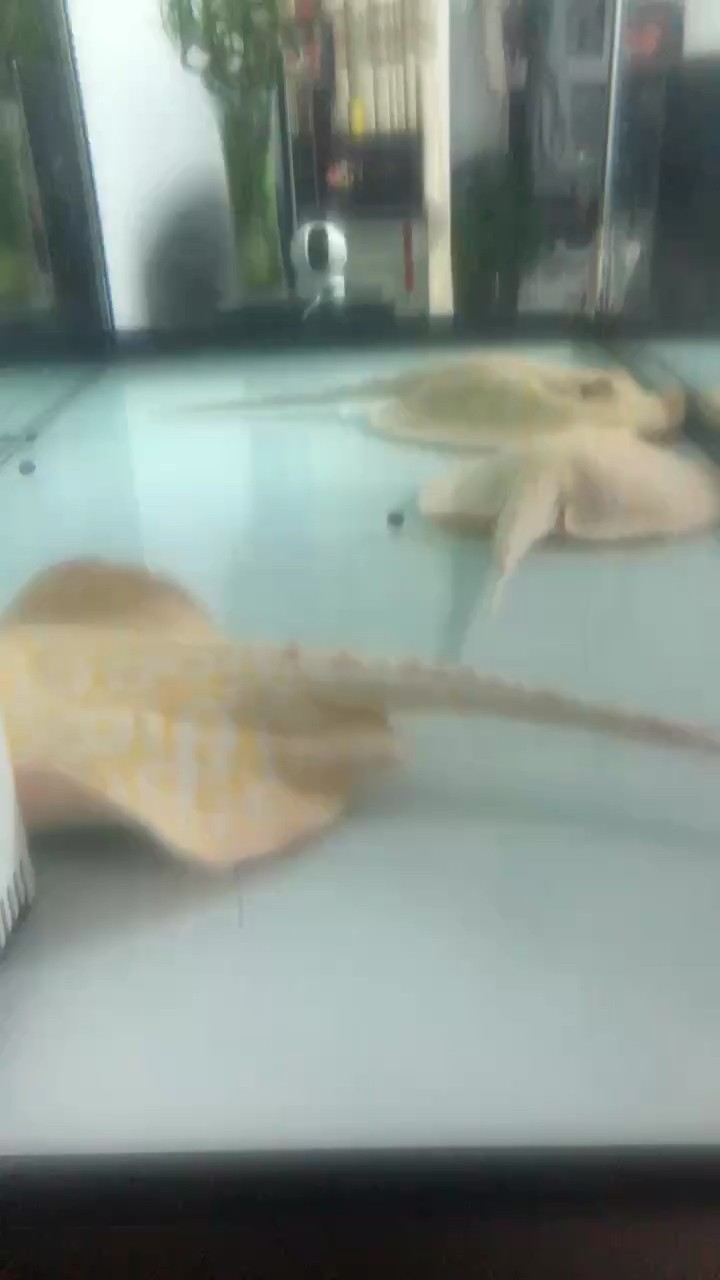 馬上供暖了