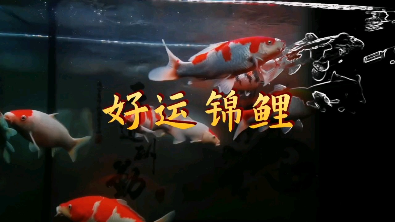 所有的偏見都來自于眼界和認知的局限性