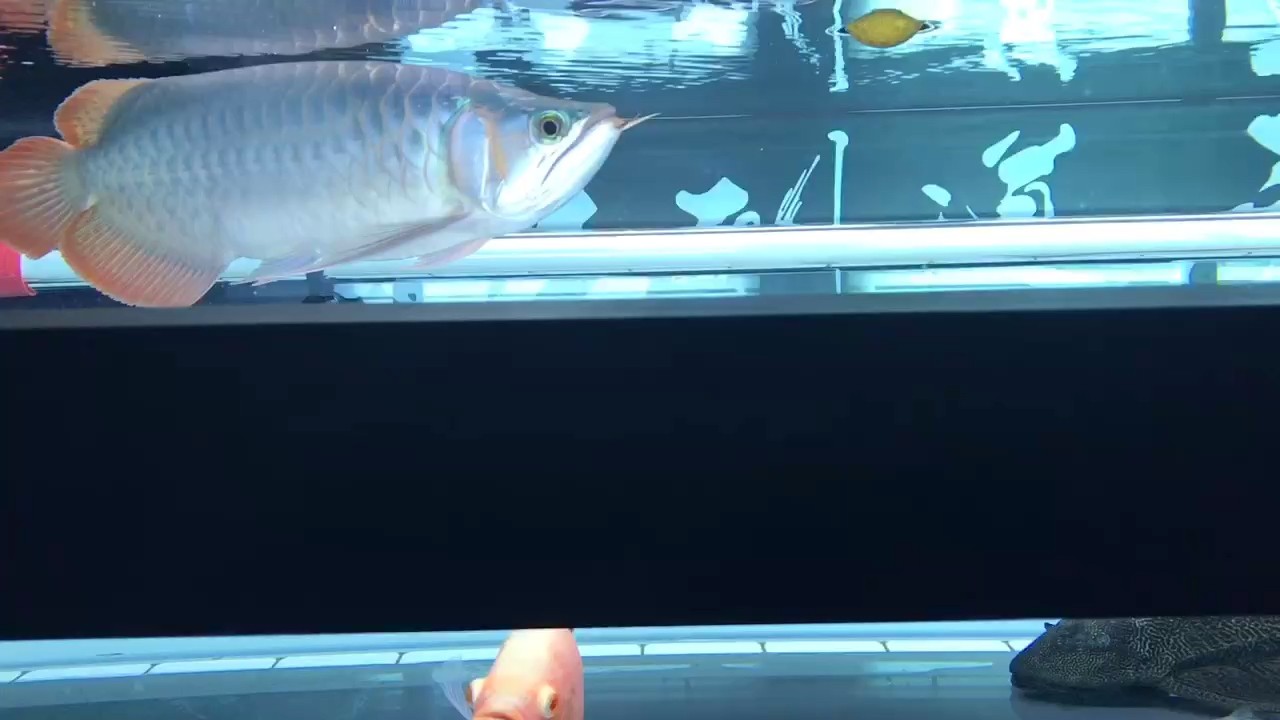 一早開燈