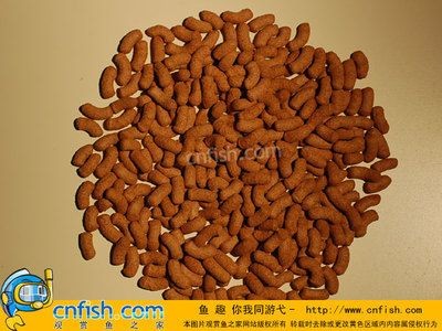 紅龍魚飼料品質排名：紅龍魚飼料品牌排名