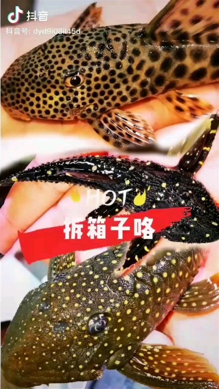 再來看一個