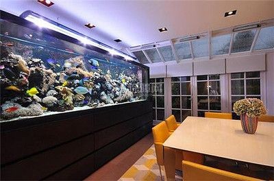 不用的魚缸怎么處理最佳風水擺放圖：不用的魚缸如何處理，可以根據以下幾個方面來進行處理