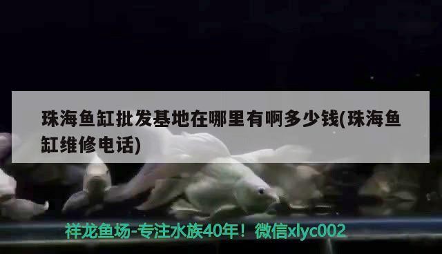 觀賞魚 珠海魚缸批發(fā)基地在哪里有啊多少錢(珠海魚缸維修電話) 紅龍魚百科 珠海魚缸批發(fā)基地在哪里有啊多少錢(珠海魚缸維修電話) 珠海魚缸批發(fā)基地在哪里有啊多少錢(珠海魚缸維修電話) 紅龍魚百科
