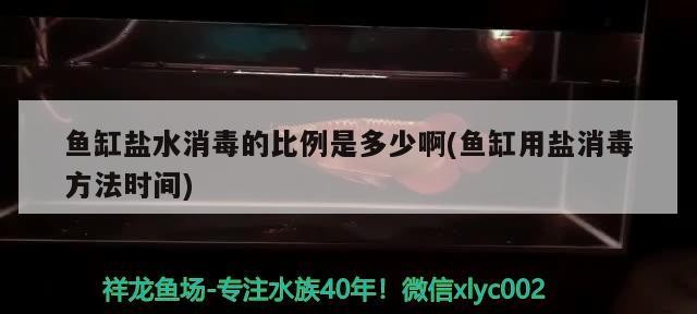 魚缸鹽水消毒的比例是多少啊(魚缸用鹽消毒方法時(shí)間)
