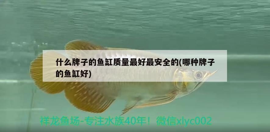 什么牌子的魚缸質量最好最安全的(哪種牌子的魚缸好)