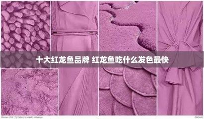 紅龍魚(yú)品牌泗水好還是孟吉爾好：比較泗水和孟吉爾紅龍魚(yú)品牌
