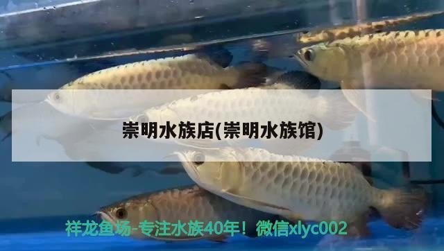 崇明水族店(崇明水族館)