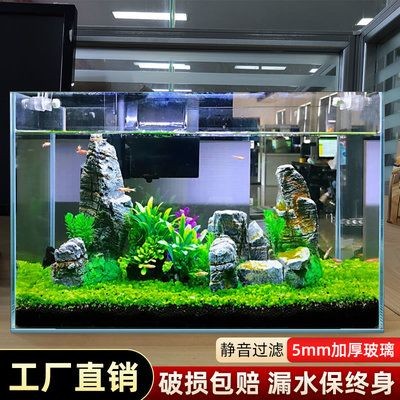 斗魚魚缸布置：關于斗魚魚缸布置的建議