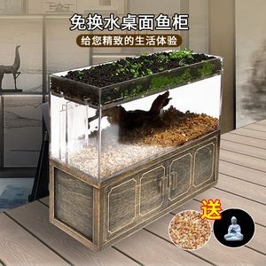 斗魚(yú)魚(yú)缸布置：關(guān)于斗魚(yú)魚(yú)缸布置的建議