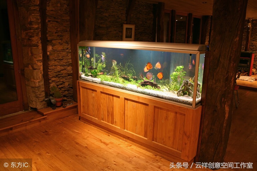 阿拉善經濟開發區花太狼鮮花水族館