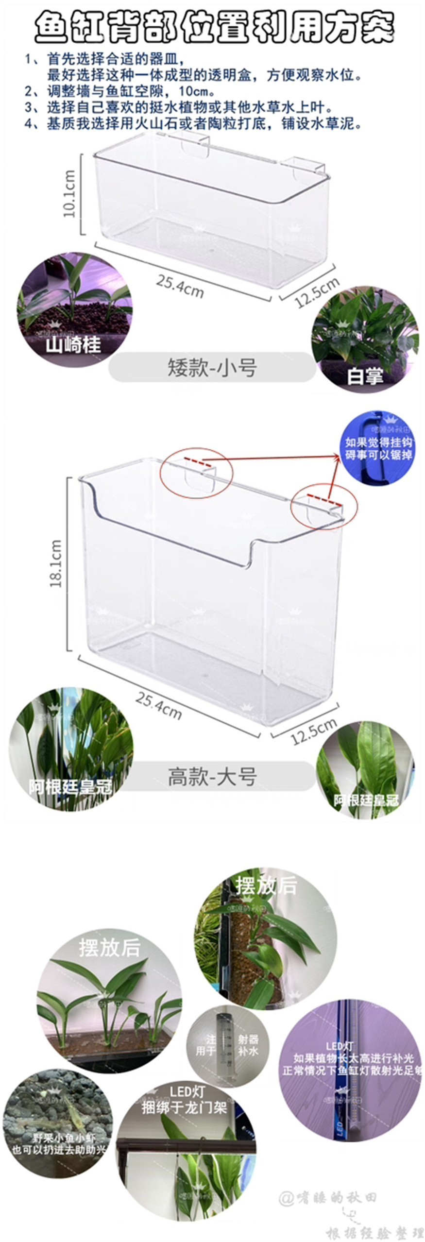 不浪費一點空間！搭配魚缸！盡顯生命氣息！
