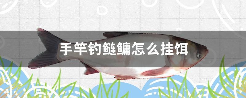手竿釣鰱鳙怎么掛餌