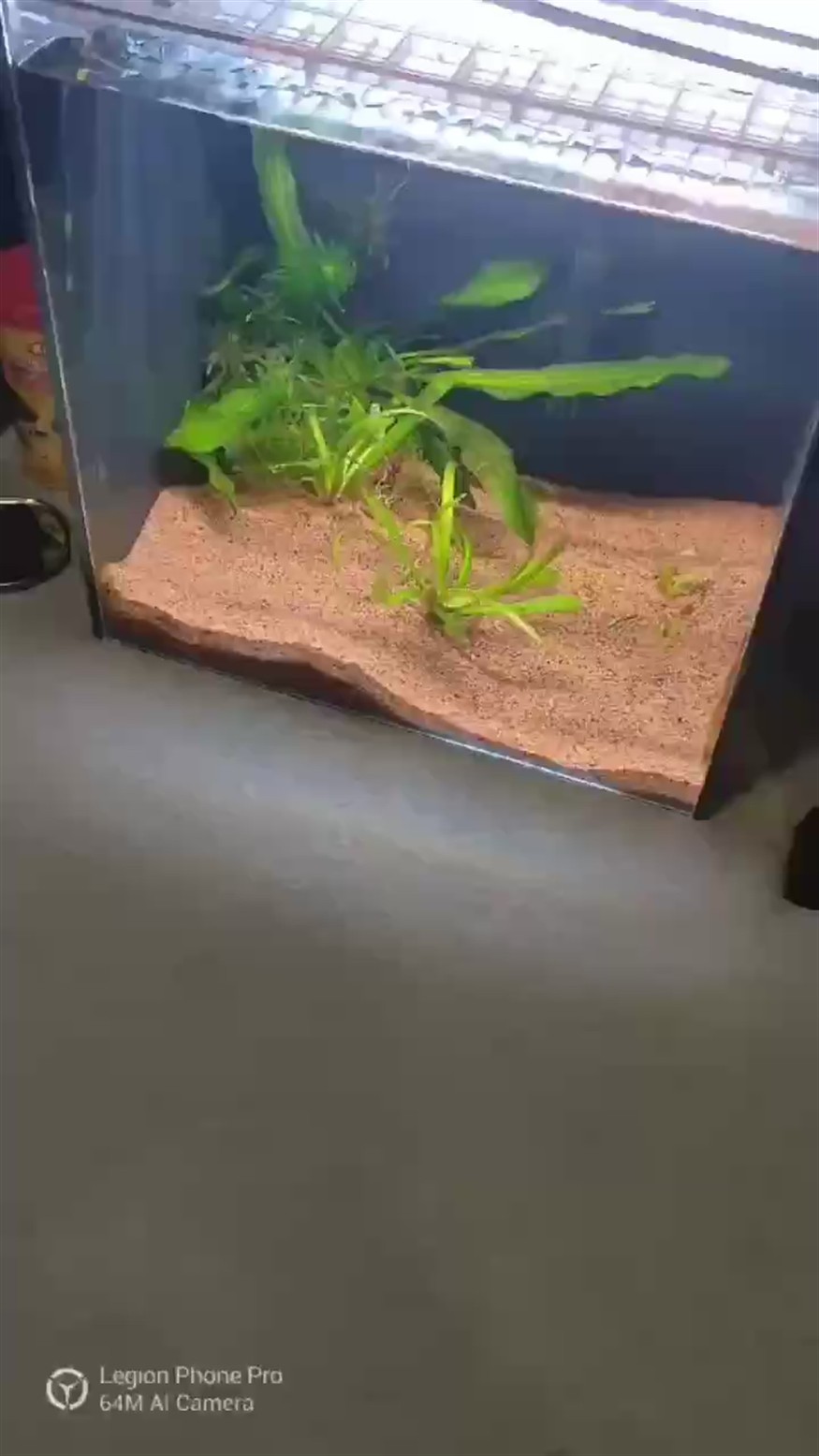 之前拍的留戀