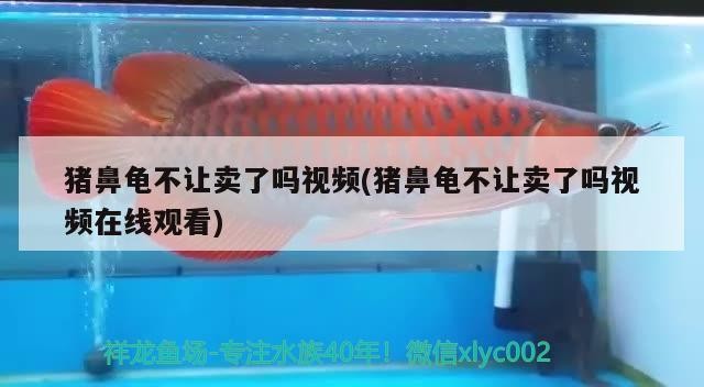 介休市城區學斌水族總匯（介休水產電話）