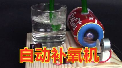 大魚缸有過濾系統還需要充氧嗎？：養魚過濾系統和充氧的關系