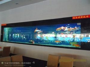 玻璃魚缸批發：玻璃魚缸批發貨源推薦