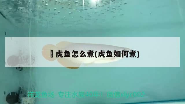 純海水魚缸視頻：與純海水魚缸相關的視頻涵蓋了不同的主題的主題視頻