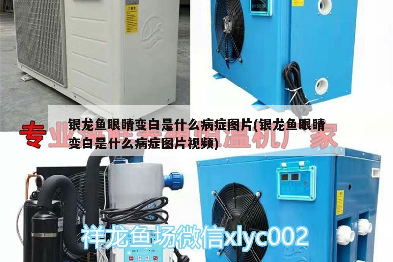 烏魯木齊高新技術(shù)產(chǎn)業(yè)開發(fā)區(qū)三喜水族館（烏魯木齊高新技術(shù)產(chǎn)業(yè)開發(fā)區(qū)三喜水族館怎么樣）