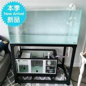 銅川水族館請教各路魚友龍魚身上長了些東西一年了