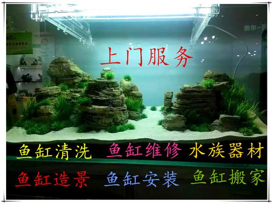 北京幸福家水族器材經(jīng)營部(北京幸福家文化傳播有限公司) 全國水族館企業(yè)名錄 第1張 北京幸福家水族器材經(jīng)營部(北京幸福家文化傳播有限公司) 北京幸福家水族器材經(jīng)營部(北京幸福家文化傳播有限公司) 全國水族館企業(yè)名錄 第1張